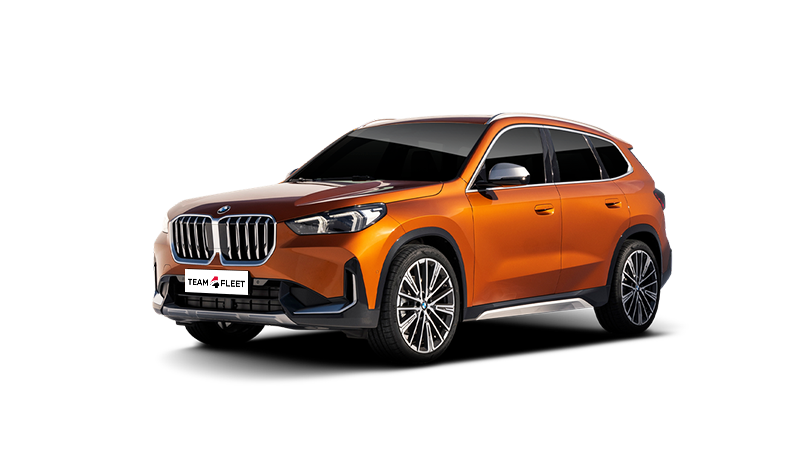 BMW X1 xDrive 25e DCT 