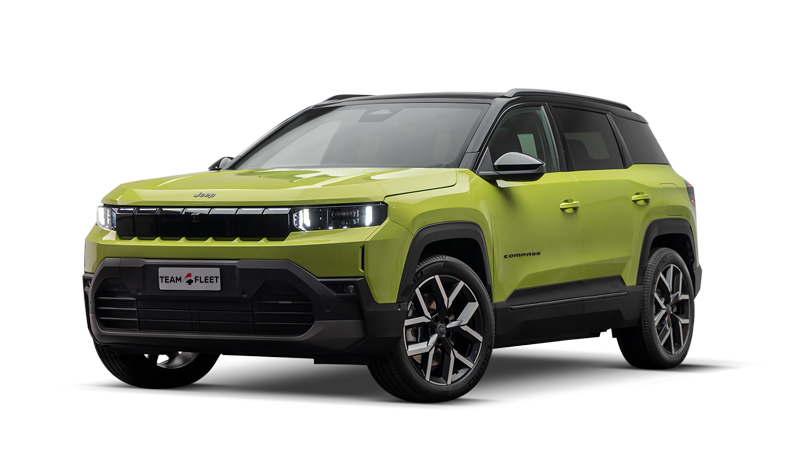 Noleggio a lungo termine