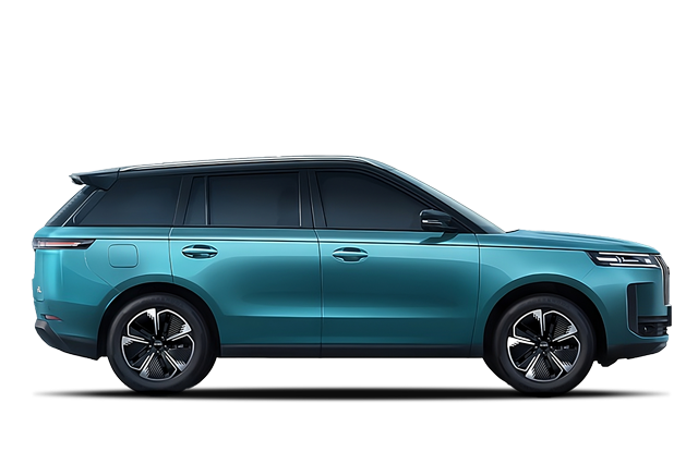 Noleggio a lungo termine