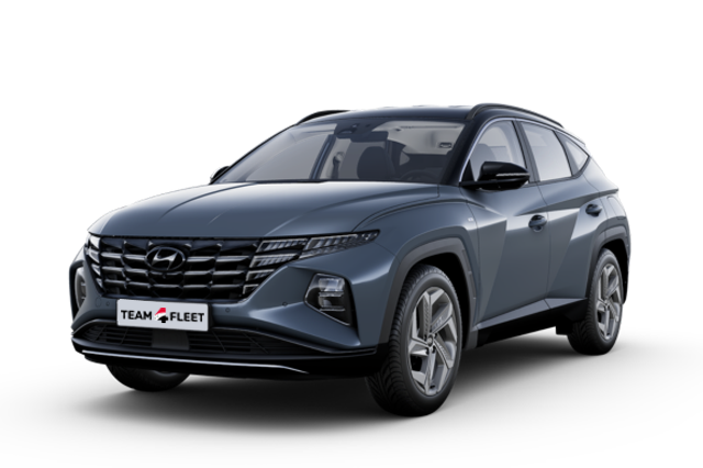 Noleggio a lungo termine